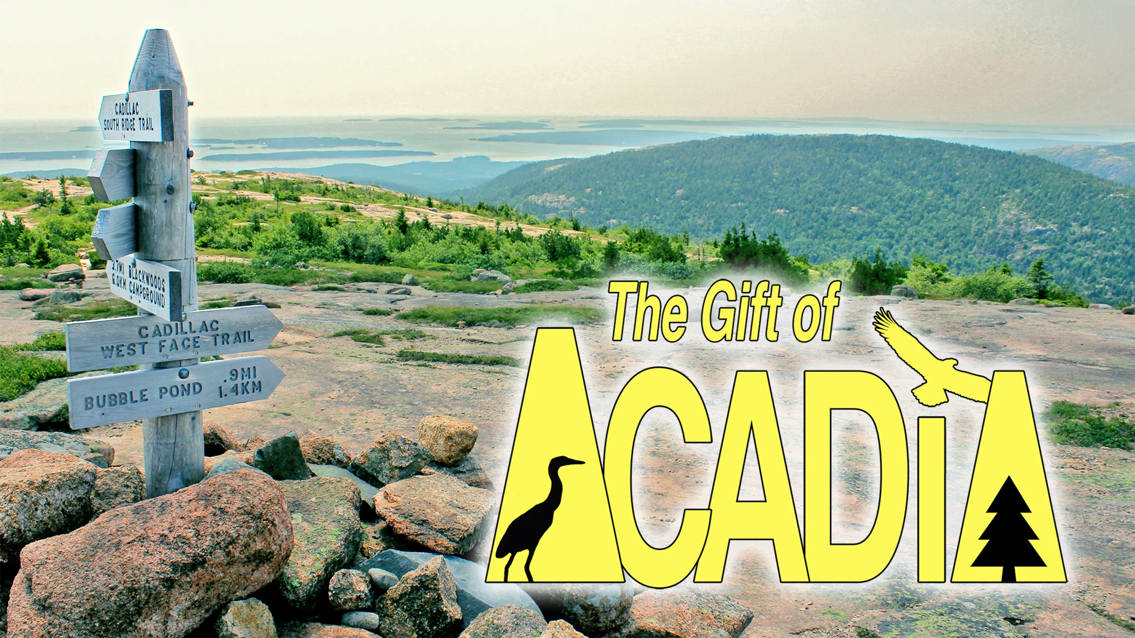 The Gift of Acadia poster